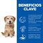 Hill's Science Plan Youthful Vitality Adult +7 Small & Mini Pollo pienso para perros, , large indicador imagen numero 6